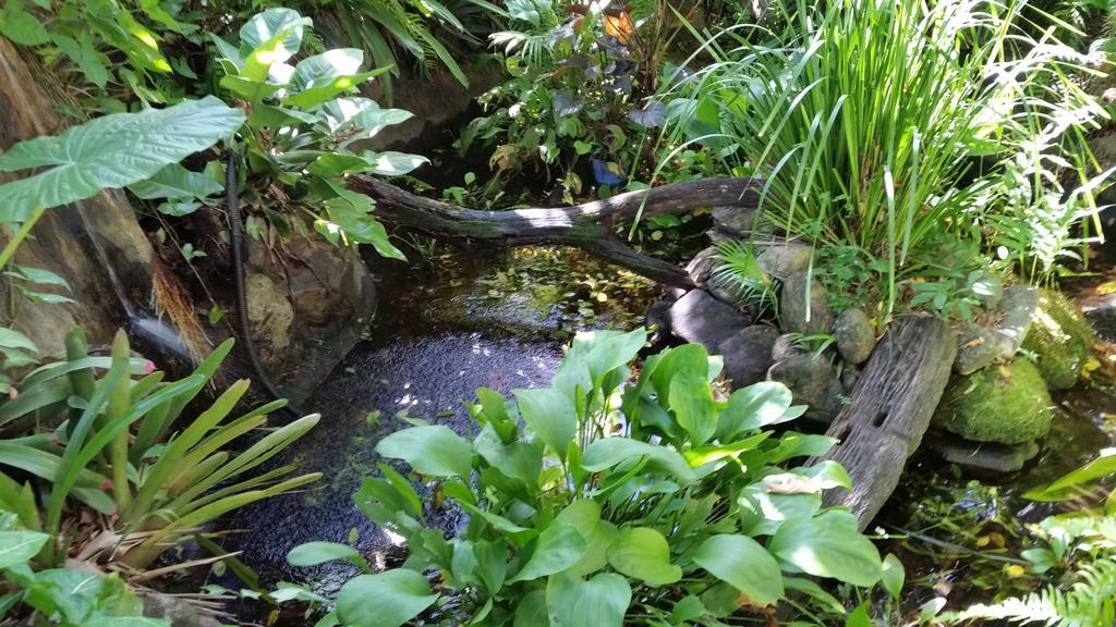 Cairns Gateway Resort Luaran gambar